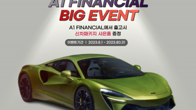 8월 프로모션